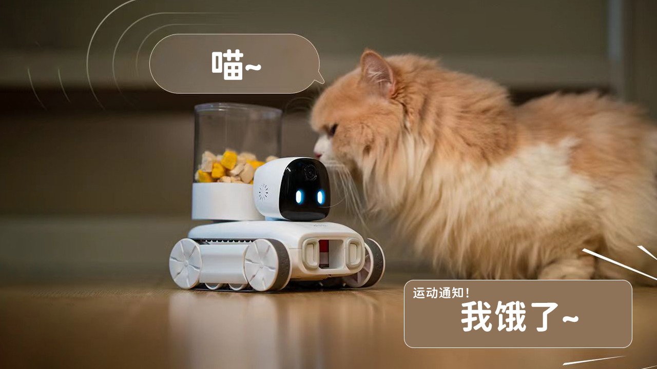 1778589675398397.jpg 微信图片_20260512202840_46_563.jpg